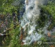 Indonesia Marijuana