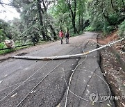 INDIA HIMACHAL PRADESH LANDSLIDE