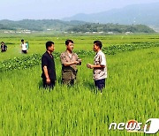 "수확고를 최대로"…알곡 생산 '투쟁 기세' 고조하는 북한