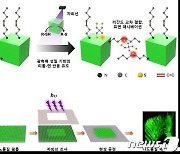 KAIST, 가상현실 실제처럼 생생하게 구현 패터닝 기술 개발