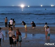 제주 북부 열대야 일수 40일 넘어…밤사이 최저기온 26.1도