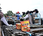 농심, 올해도 완도 다시마와 함께…햇다시마 355톤 구매