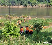 예천 실종 수색 계속…낙동강 수계 등에 인력 148명·드론·보트 등 투입