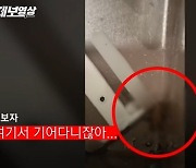 냅킨 통 열었더니 바퀴벌레 우글우글…호프집 알바생, 사과 없이 뒷걸음질만