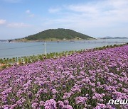 [알림] 대한민국 지방지킴 대상에 전남 신안군·쿠팡(주)