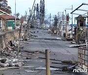 "레이저 무기로 불냈다"…피해자들 두 번 울리는 하와이 산불 음모론