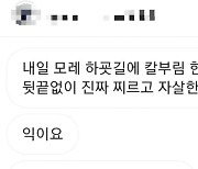 "관심받고 싶어서"…남양주 학생 대상 '성폭행·흉기난동' 글 작성자 검거