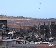 "불탄 유해 부서져"…하와이 시신 수습·신원확인 난항