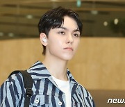 세븐틴 버논, 짙은 잘생김