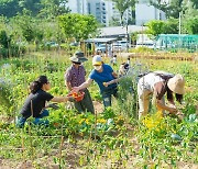 양천구, 올해 최고 도시농부 뽑는다