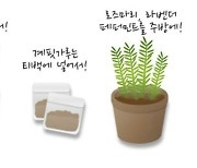 여름철 ‘윙윙’ 날아드는 초파리…‘이 방법’으로 퇴치하세요