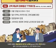 경기도, 9월 13일 샤넬·롤렉스 등 체납자 압류 명품 770여점 공매