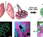 서울시립대-건국대 공동연구팀 폐 질환 독성물질 실시간 모니터링 모델 개발, 세계적 학술지 표지논문에 게재