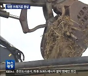 밀려드는 ‘태풍 쓰레기’에 동해안 몸살…‘국비 절실’