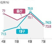 대구·울산 경매, 한달 만에 싸늘…낙찰가율 급락 [심은지의 경매 인사이트]