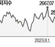 코스피 장중 2500선 붕괴