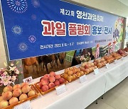 ‘향기부터 맛까지’…경북 영천 최고의 복숭아‧자두는?