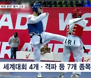 세계태권도문화축제 강원서 내일 개막…4개 대회 동시에 개최