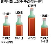 “아재 술 아니였어?”...위스키에 빠진 2030, 더 독한 놈에 빠졌네