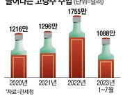 혼술로 독주 마시는 2030에 中고량주 인기