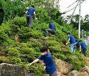 현대차 신입사원, 봉사활동으로 비지땀