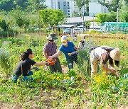 양천구, 마당텃밭 경작대회 개최