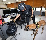 '고속철도시설에 폭탄 설치' 이메일…대구경찰 기차역에 특공대 투입