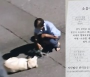 주인 학대에 ‘낑’ 소리도 안 내던 ‘둥이’…소유권 포기 받아냈다