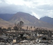 Hawaii Fires Disasters in Paradise