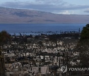 Hawaii Fires