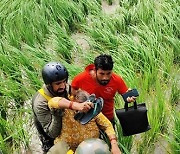 India Monsoon Rains