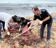 태풍 쓰레기 수거 한창인 동해 어달해변