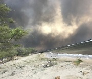 Hawaii Fires Mental Health