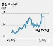 테마는 싫고, 하락장은 무섭고…음식료품株 꿈틀 이유는