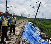 19일부터 충북선·정선선 운행재개…영동선은 장기복구 예정