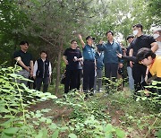 경찰, 대낮 서울 둘레길 성폭행 30대 남자 구속영장 신청