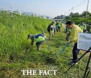 포천시, 환경단체와 '생태계 교란 야생식물' 제거