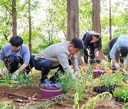 마포구 '난지 테마관광 숲길' 개장