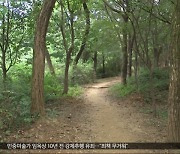 대낮 공원 성폭행‥피해자 의식 불명