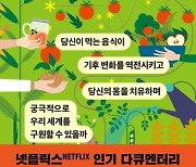 폭염 산불 가뭄 폭우는 토양이 죽어간다는 것