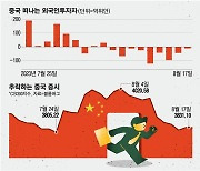 정부가 뭘하는지 모르겠다…전세계 돈 빼가는데도 입 꾹 닫은 중국