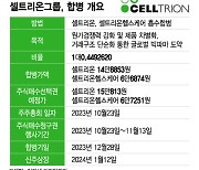 (셀트리온＋헬스케어)×시너지 해답은?…글로벌 빅파마 방정식