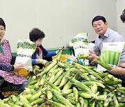 옥수수 계약재배사업 농가소득 증대 앞장