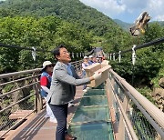 구조된 천연기념물 황조롱이 8마리... 자연의 품으로