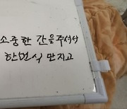 “소중한 간을 줘서 매일 한 번씩 만지고 있어”…애처가와 효자가 만든 기적