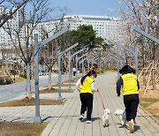 유기 동물 입양 문화 정책 위해 ‘입양비·입양키트’ 지원하는 지자체