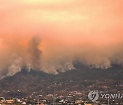 스페인 테네리페섬, 폭염 속 덮친 대형 산불…"통제 불능"(종합)