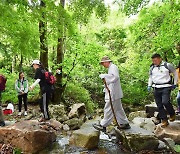 정선 정암사 자장율사 순례길은 '치유·힐링의 길'