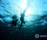 "한국 해녀문화 명맥 잇기 위해 제주-전국 지자체 협력"