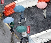 광주·담양 등에 국지성 호우…도로 침수 등 신고 잇따라